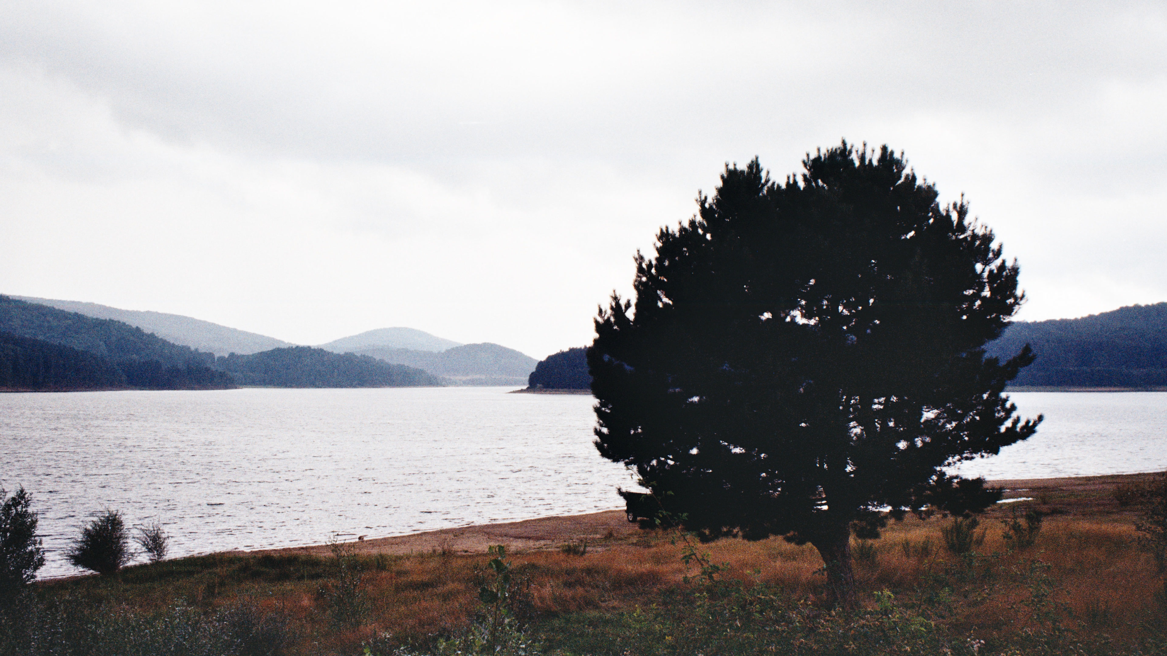 Lago Arvo, Parco della Sila
